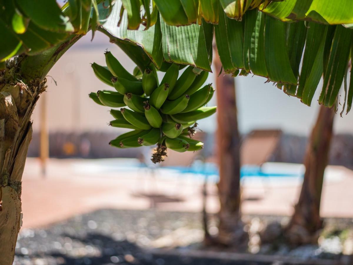 Amazing Villa Viktoria! Pool Big Garden Costa Adeje  ภายนอก รูปภาพ
